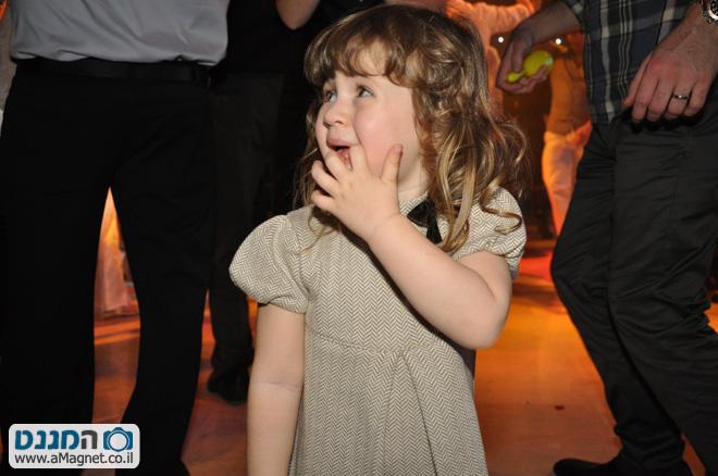 תמונה גדולה